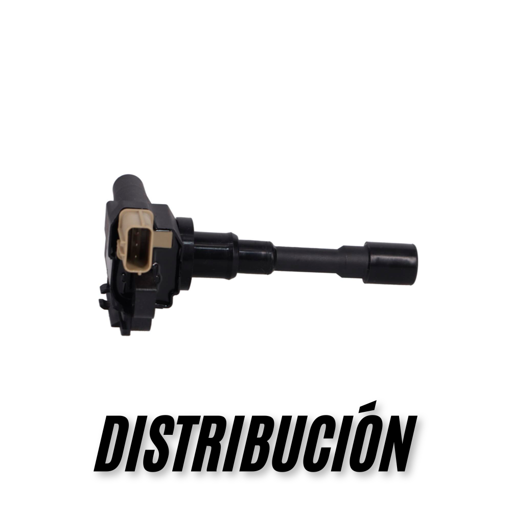 Distribución