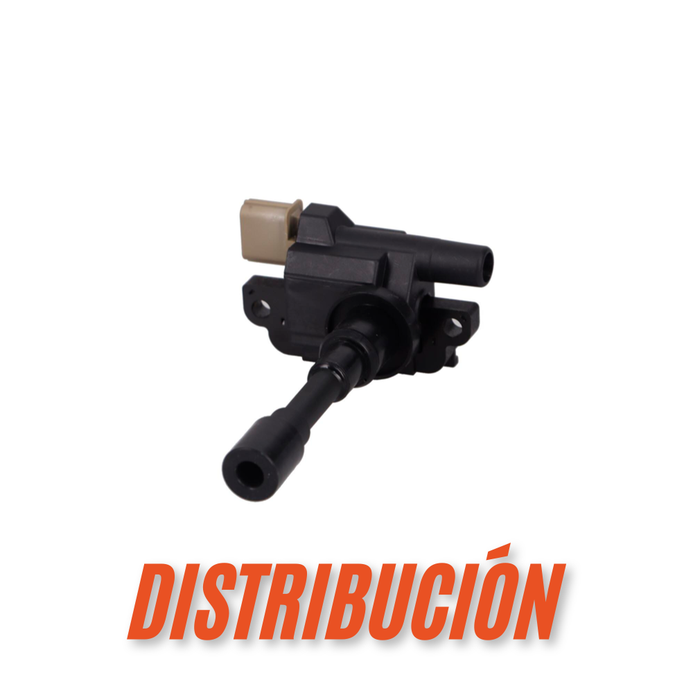 Distribución