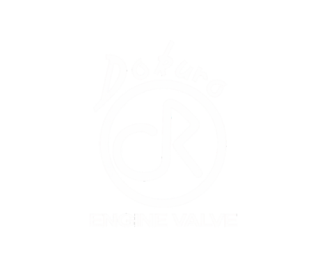 Logo DOKURO
