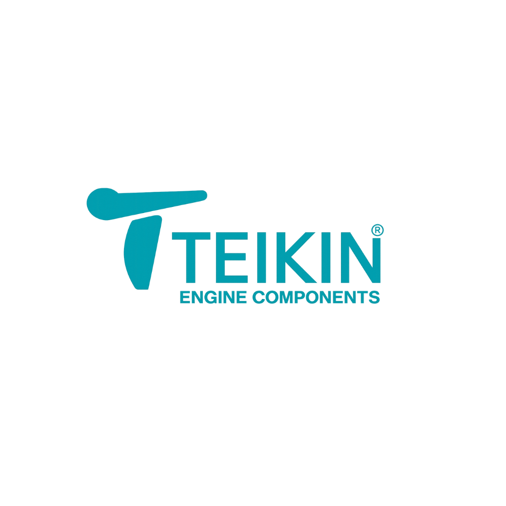 Logo TEIKIN